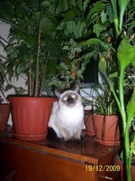 02.webp