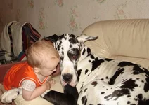 88aabd02d37a.webp