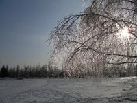DSCN8015.webp
