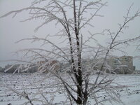 DSCN8026.jpg