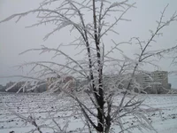 DSCN8026.webp