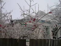 DSCN8031.webp