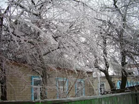 DSCN8036.webp