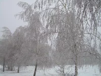 DSCN8059.webp