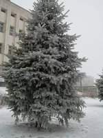 DSCN8069.webp