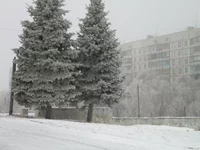 DSCN8075.webp
