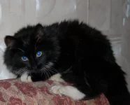  Изображение 054.webp