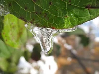 01.webp