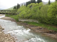 IMG_0104.webp