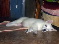 DSCN506-1.webp