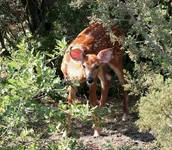IMG_4990w.webp