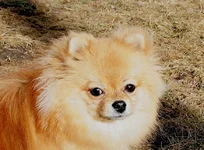 .webp