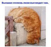i165^cimgpsh_orig.webp