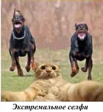  селфи!!!.webp
