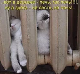 i142^cimgpsh_orig.webp