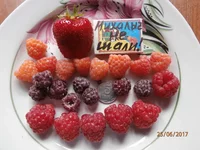 .webp