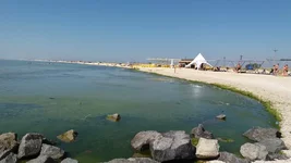 20170626_094625.webp