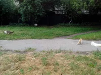 IMG_20170609_091202[1].webp