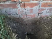 2017-06-29 19.41.02.webp