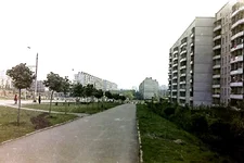 PICT71_1.webp