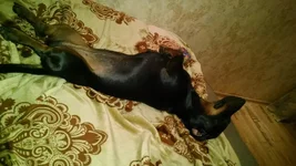 IMG_20170707_221333261.webp
