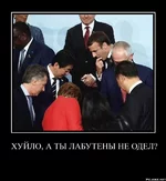 image.jpeg