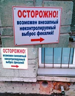 9914412.jpg