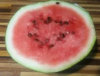 .webp