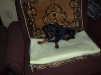 100_7008.webp