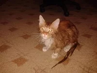 20170502_200449.jpg