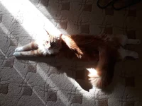 20170716_174002.webp
