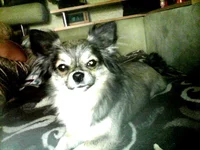  на диване.webp