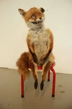 lis-0004.webp lis-0004.webp