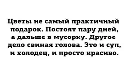 18882158_1120624258082823_7919792977145246311_n.webp