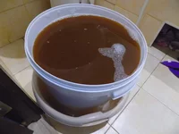 DSCN0311.webp