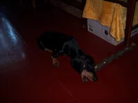 101_7010.jpg