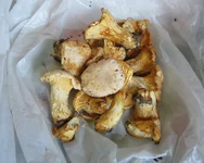 IMG_5000-3.webp