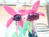 20170715_163535.webp