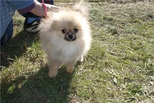 89aa25910536.webp