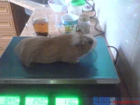 DSC01729.webp