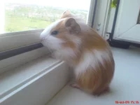 DSC01170.webp
