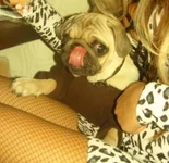 rrr.webp