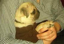 tt.webp