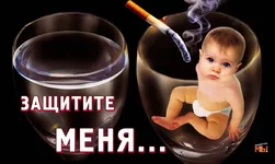 1599306_77c68545.webp