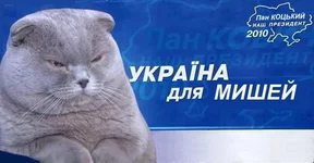 026a5c2f12b7.webp