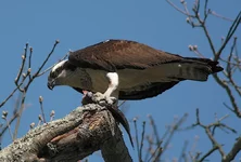 IMG_3645_w.webp
