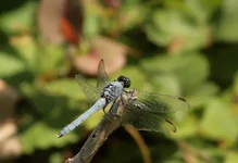 IMG_0510_w.webp