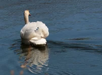 IMG_3243_w.webp