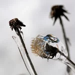 IMG_6707_Vivid-1x1.webp