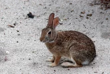 IMG_1923w.webp